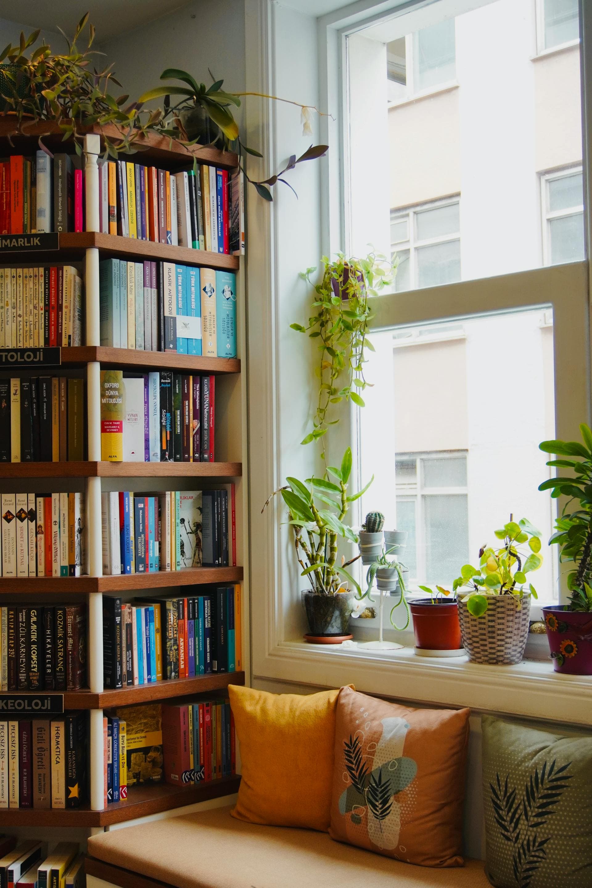 A cozy reading nook with a full bookshelf, plants on the windowsill, and warm cushions